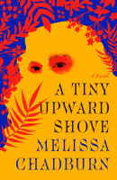 A Tiny Upward Shove: A Novel