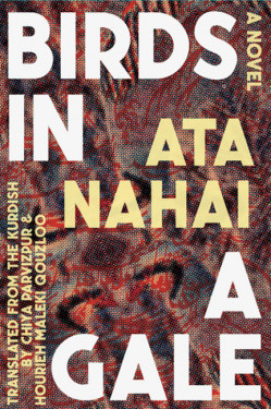 Birds in a Gale: A Novel Product image