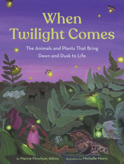 When Twilight Comes: The Animals and Plants That Bring Dawn and Dusk to Life Product image