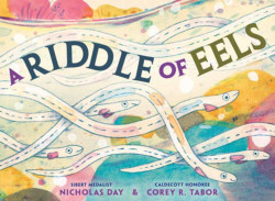 A Riddle of Eels Product image