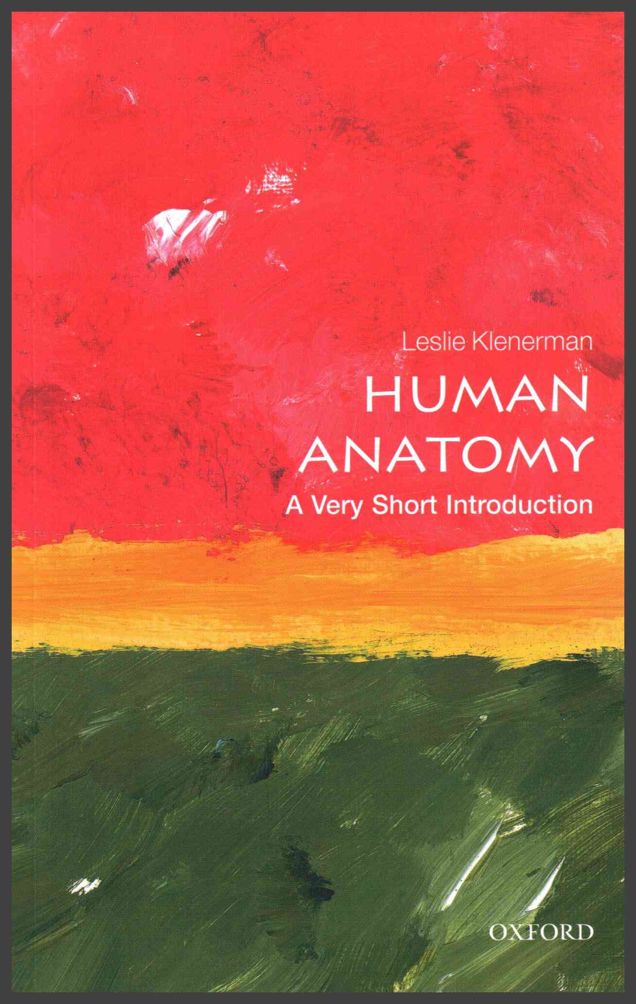 human-anatomy-by-leslie-klenerman-firestorm-books