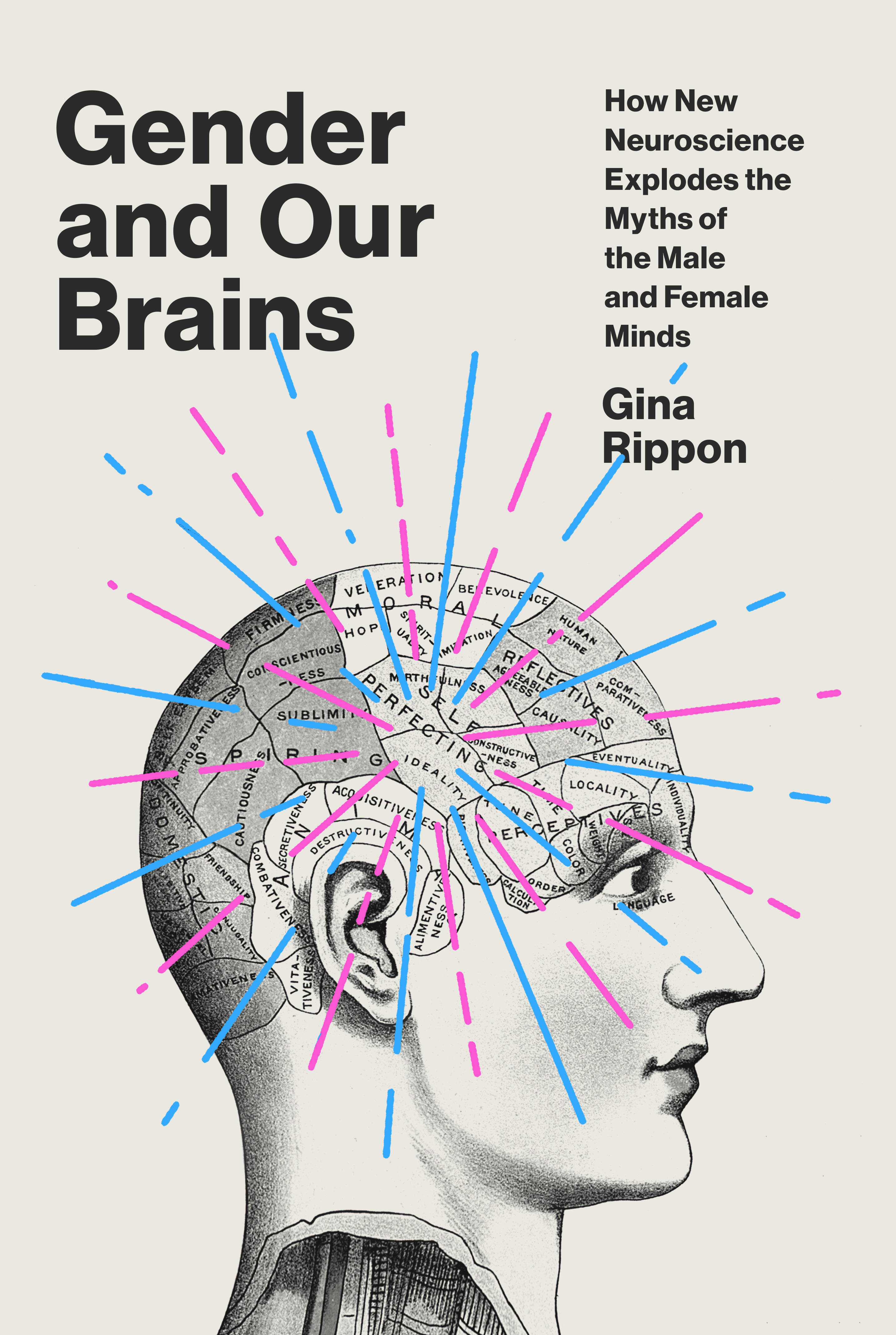 Gender And Our Brains By Gina Rippon Firestorm Books