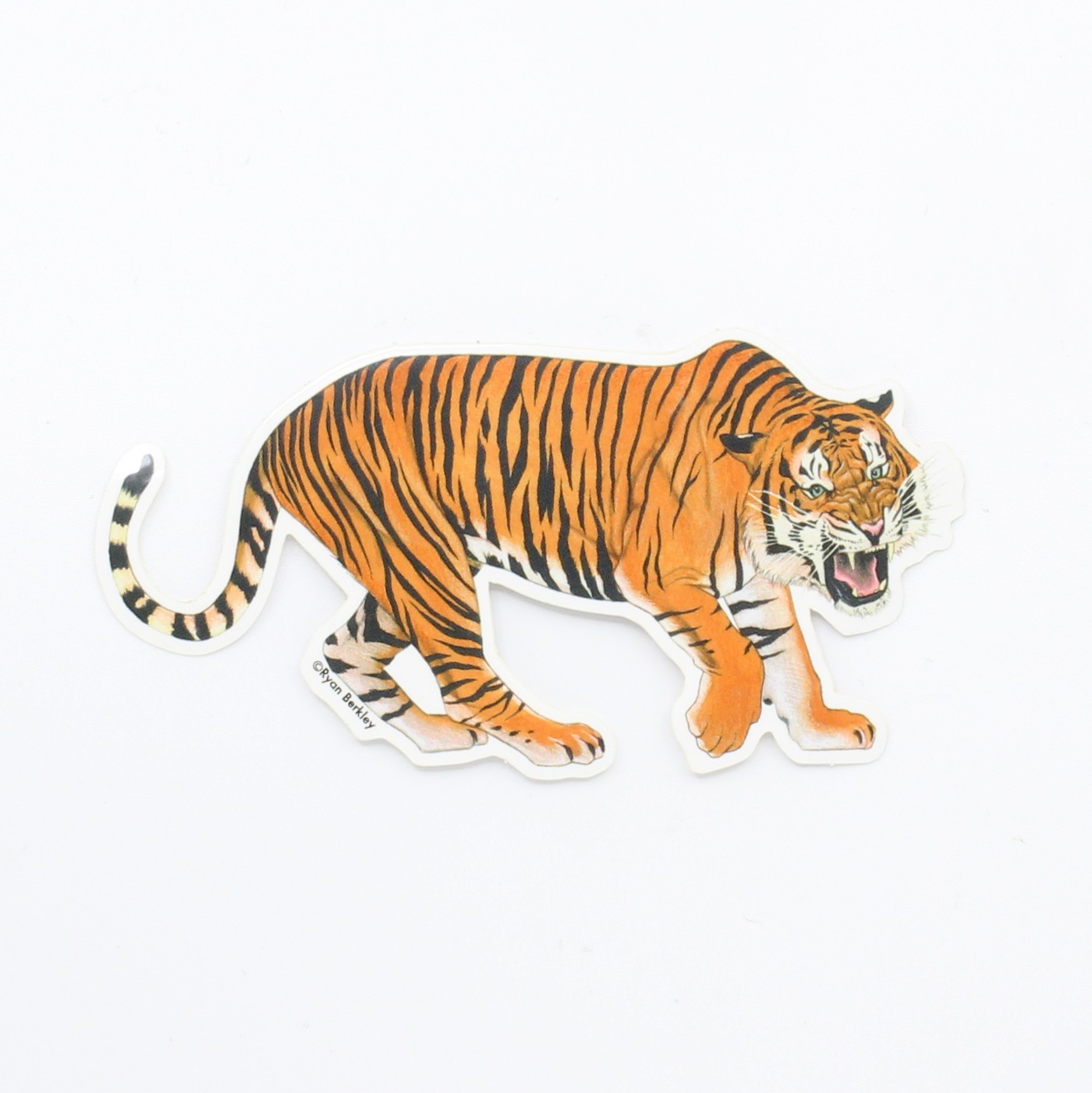 Tiger Sticker | Firestorm Books