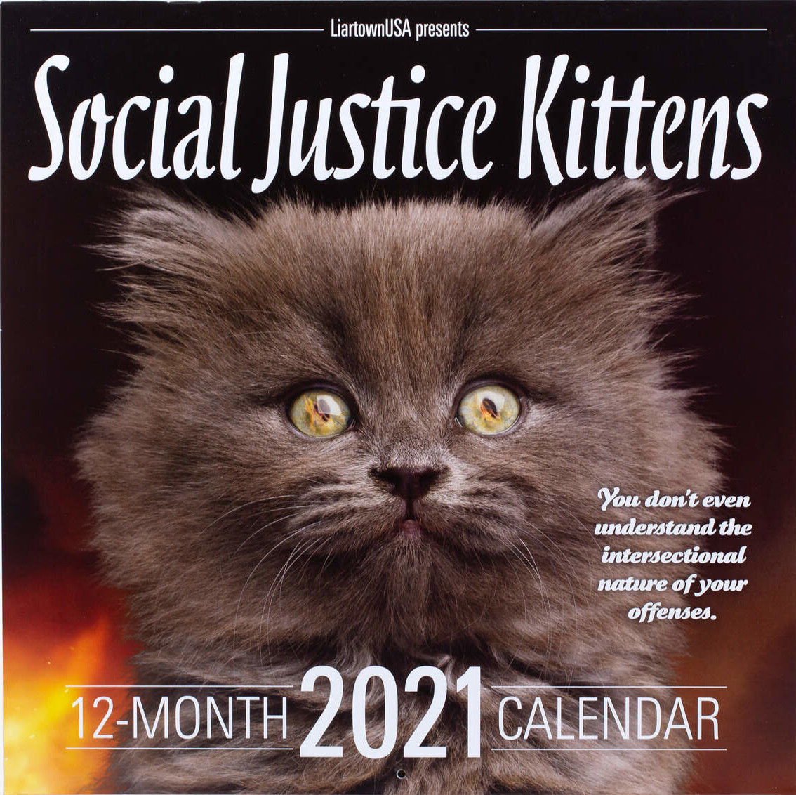 Social Justice Kittens 2021 Wall Calendar | Firestorm Books