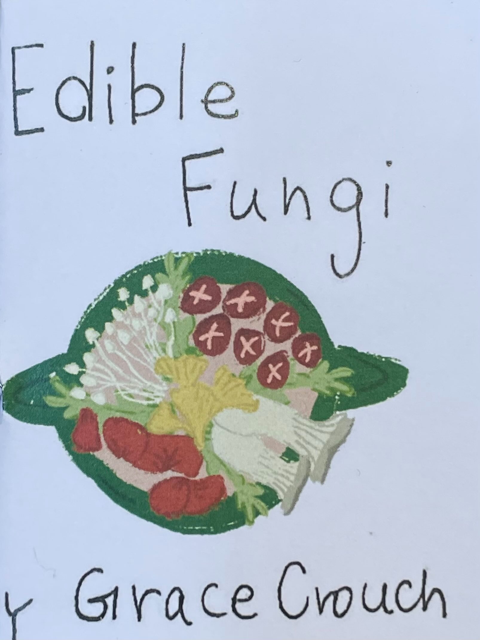 Edible Fungi by Grace Crouch Firestorm Books