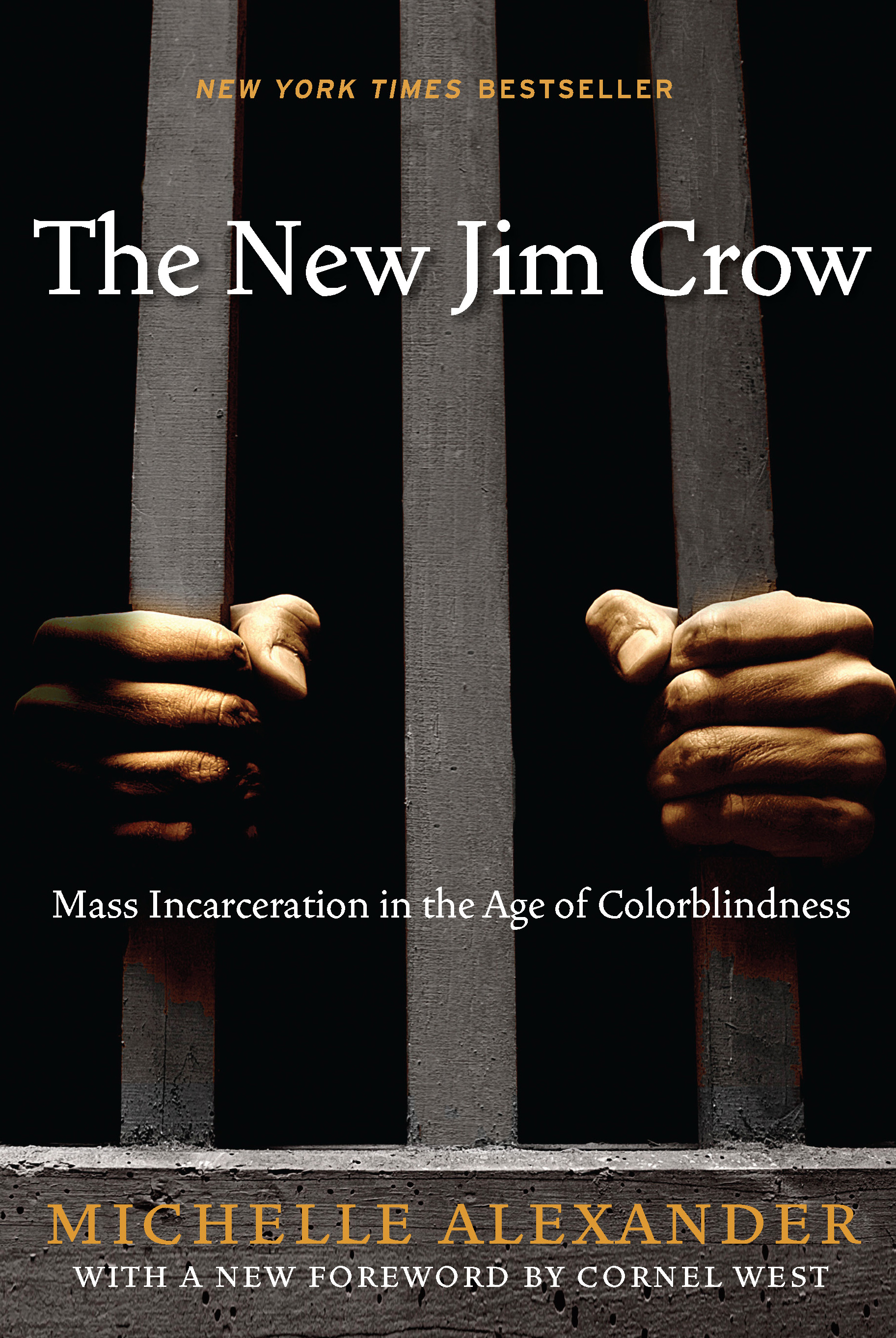 The New Jim Crow by Michelle Alexander | Firestorm Books