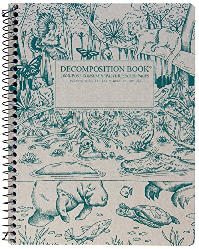 Everglades Spiral Decomposition Book | Firestorm Books