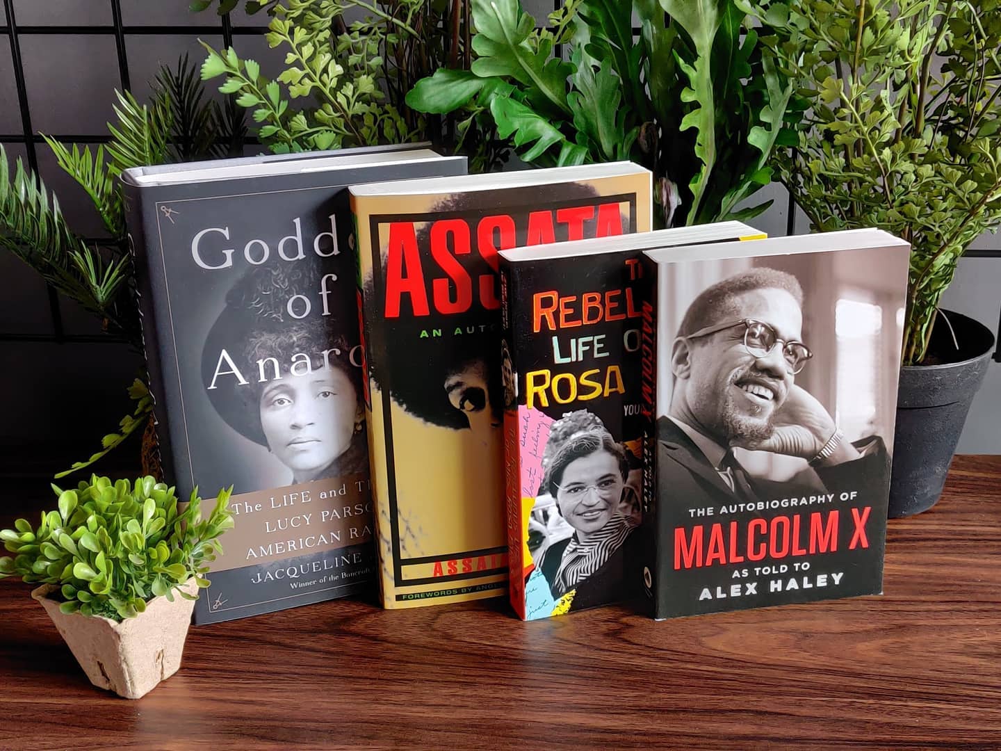 Black History Month books